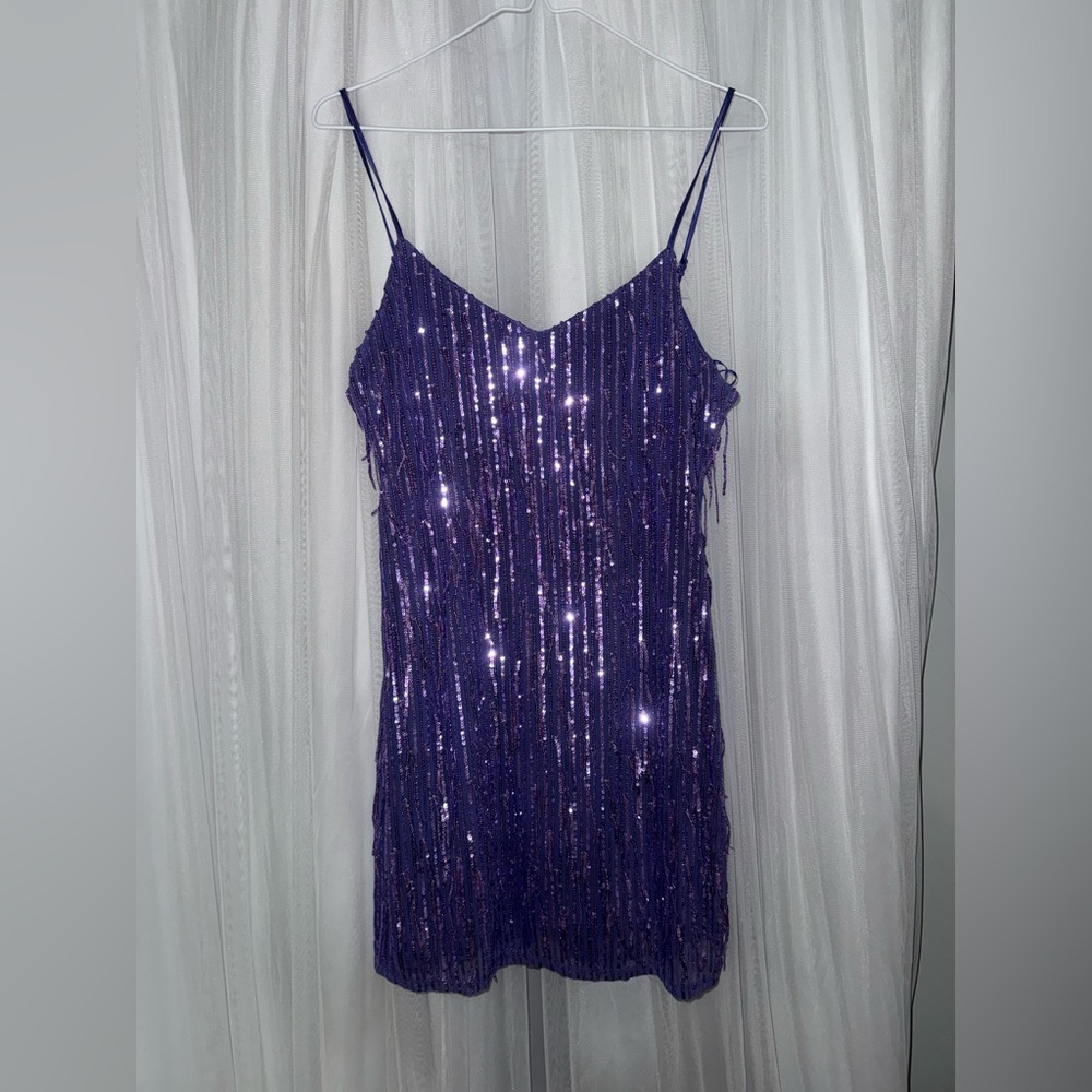 Purple Sequin Fringe Dress